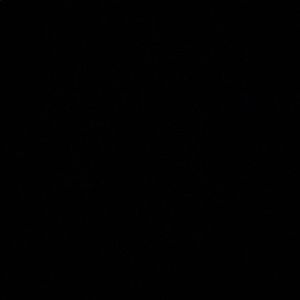 Meet your Posher, Samuel